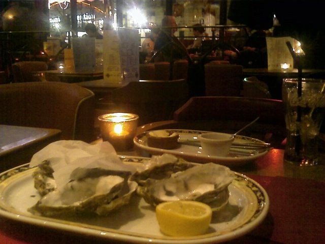 2009-02-15 Dodo avec le maitre_l.jpg